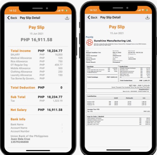 Payslip document